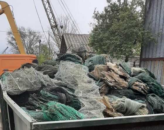 bunuri distruse arbdd