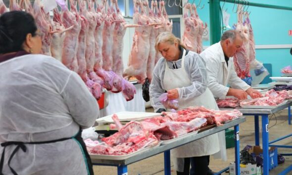 carne miel piata constanta