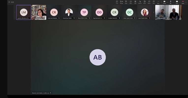 consiliul local constanta