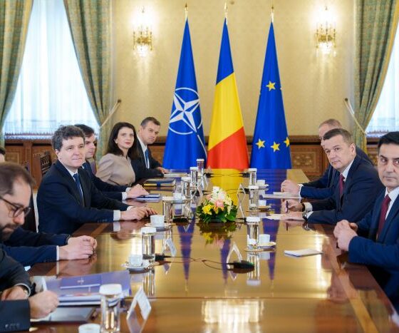 consultari cotroceni psd