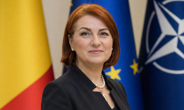 marilena dragnea
