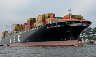 msc francesca