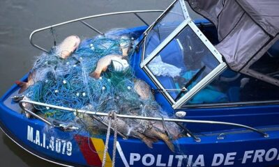 peste politia frontiera