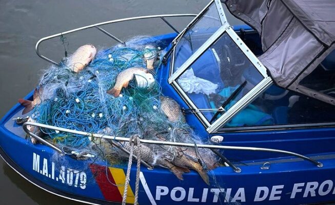 peste politia frontiera