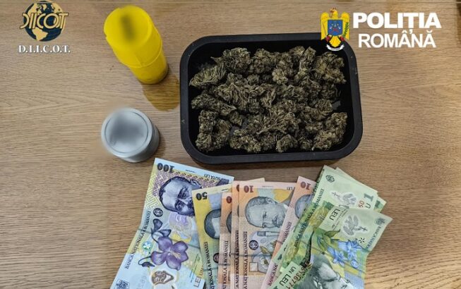 traficanti droguri constanta