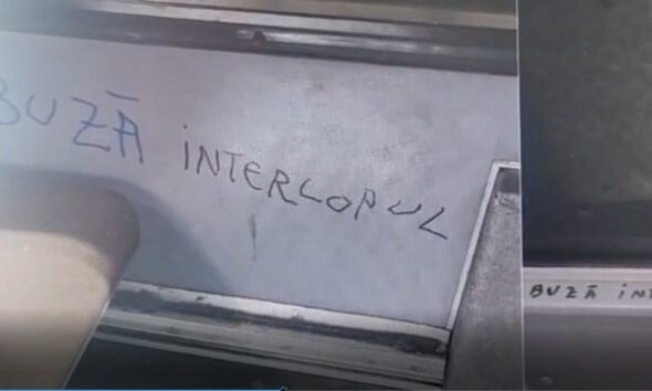vandalizare autobuze