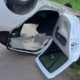 accident ialomita judet