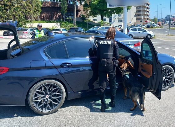 actiune navodari