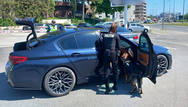 actiune navodari