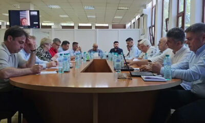 conciliul local constanta