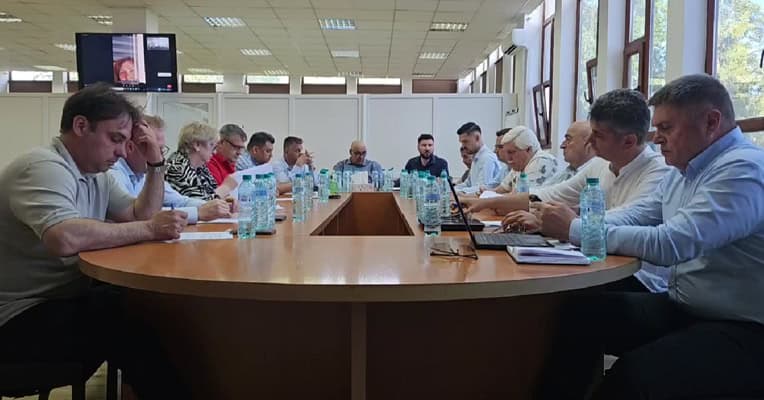 conciliul local constanta