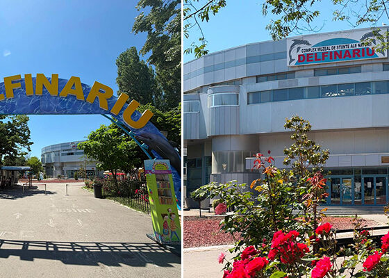 delfinariu