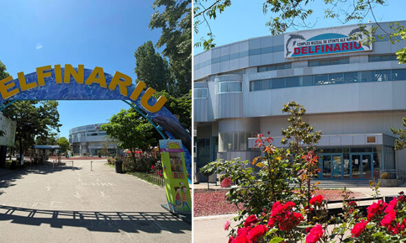 delfinariu