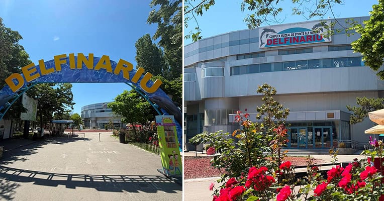 delfinariu