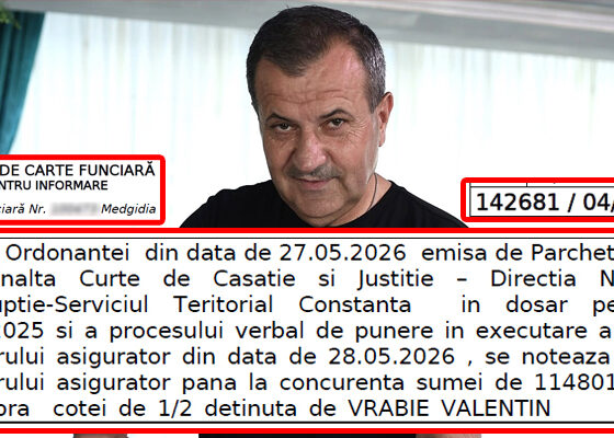 OrdineaRO Seschestru avere Valentin Vrabie iunie