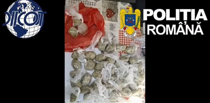 droguri captura