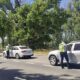roadpol tulcea