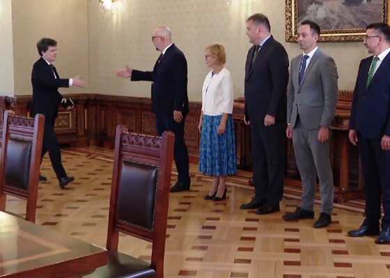 udmr cotroceni