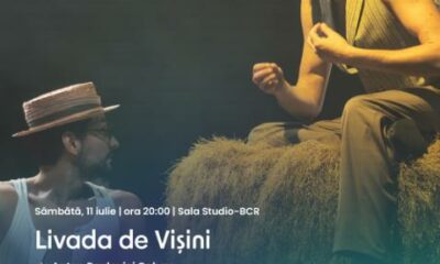 Livada de visini
