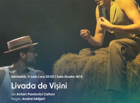 Livada de visini