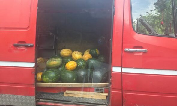 comert ambulant