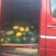 comert ambulant