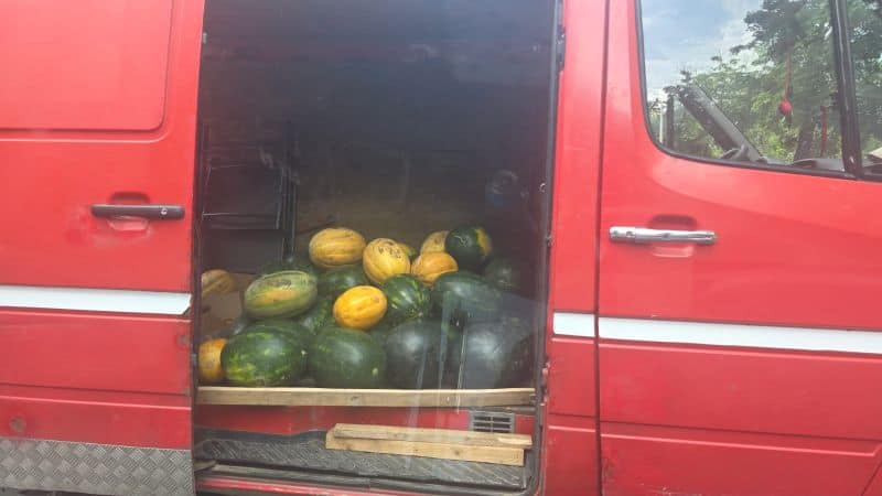comert ambulant