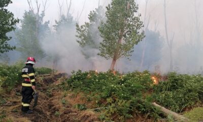 incendiu padure tulcea