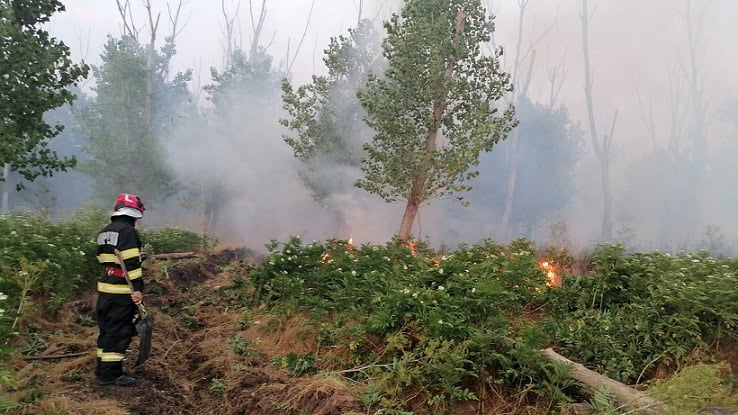 incendiu padure tulcea
