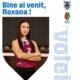 voiei csm constanta
