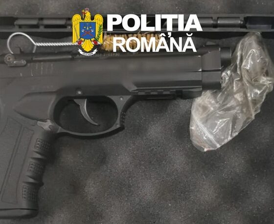 arma ipj