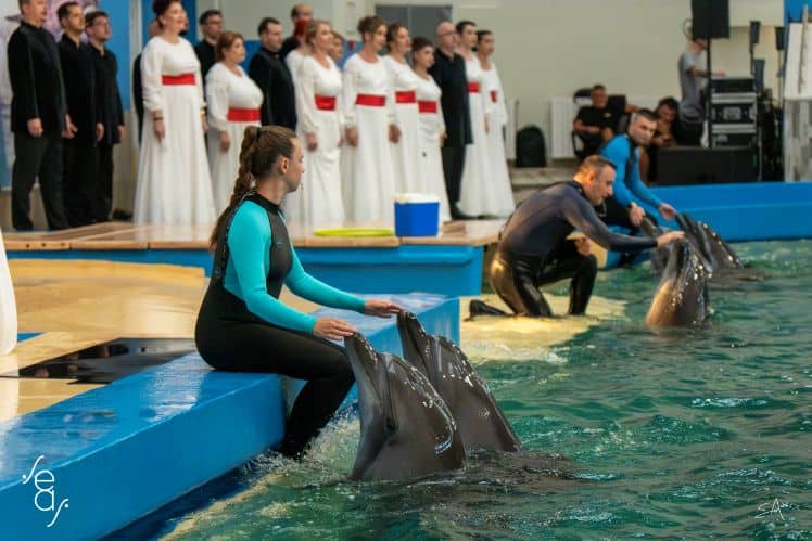 delfinariu madrigal delfinariu madrigal