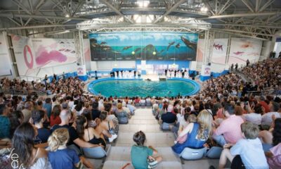 delfinariu madrigal