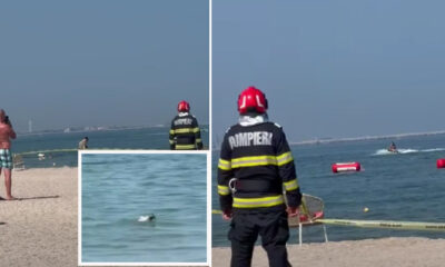 drona mamaia