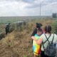 jandarmi accident