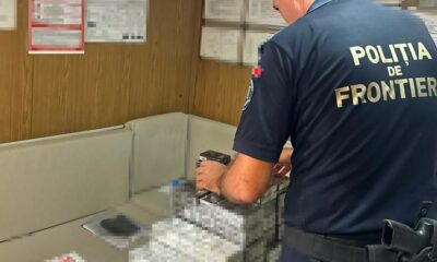 tigari vames