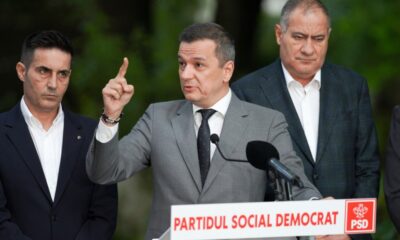 conducere PSD