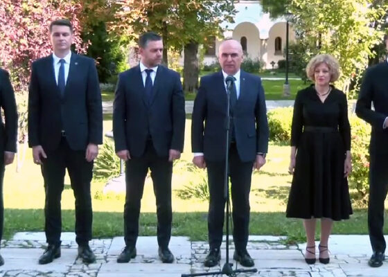 pnl consultari cotroceni