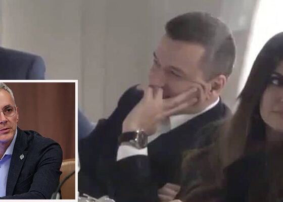 stelian grindeanu ambasadoare sua
