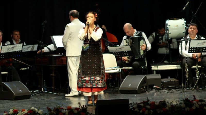DAN MOISESCU ()