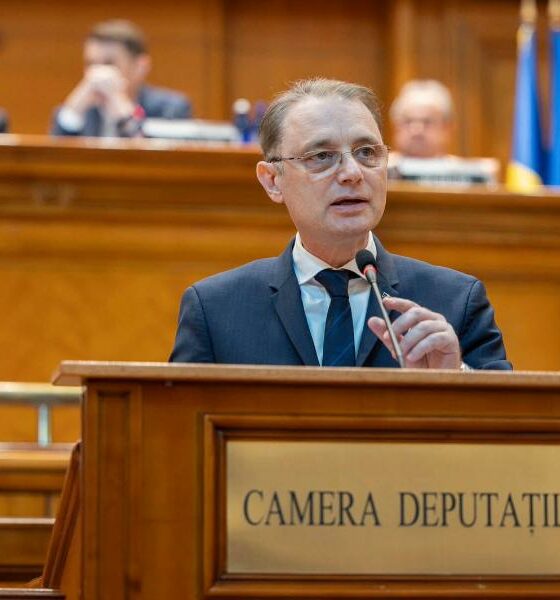 Luca Niculescu.jfif