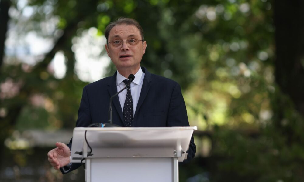 Luca Niculescu
