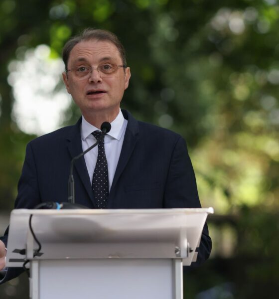 Luca Niculescu