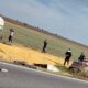 accident techirghiol