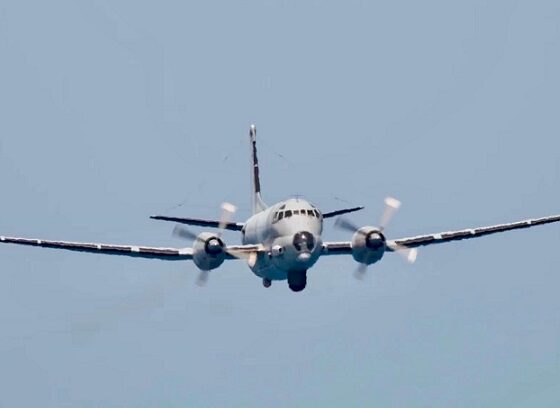 avioane mapn