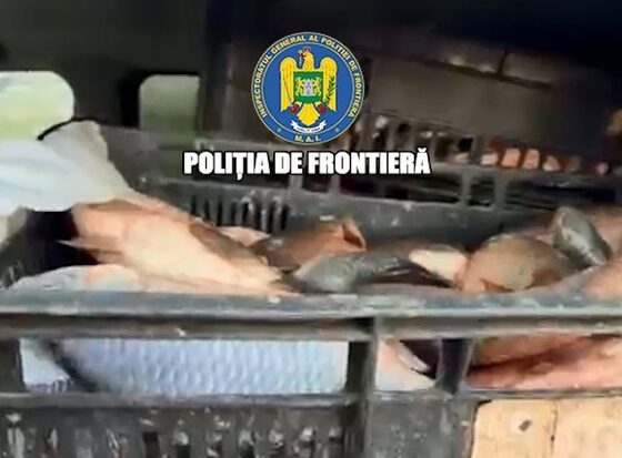 captura peste Mihai Viteazu