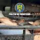 captura peste Mihai Viteazu