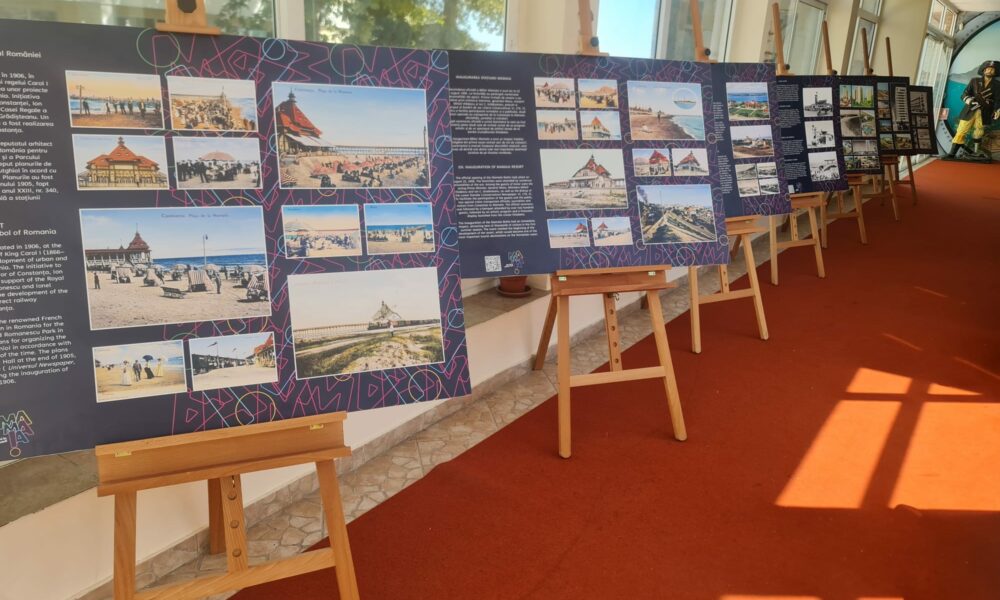 expozitie m