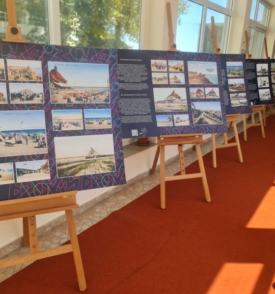 expozitie m