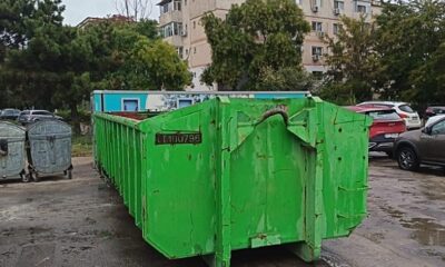 polaris zefirului cu viorelelor